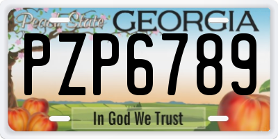 GA license plate PZP6789