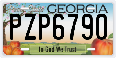 GA license plate PZP6790
