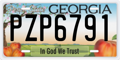 GA license plate PZP6791