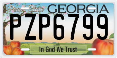GA license plate PZP6799