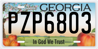 GA license plate PZP6803