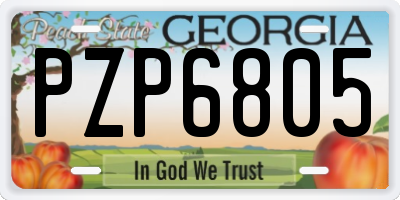 GA license plate PZP6805