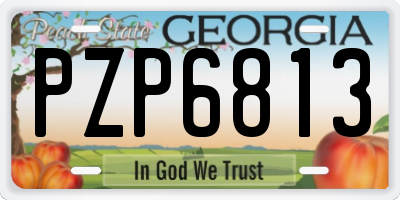 GA license plate PZP6813