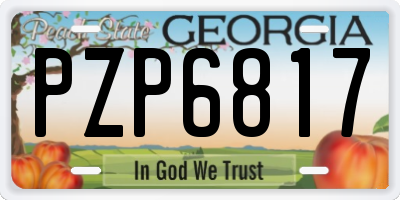 GA license plate PZP6817