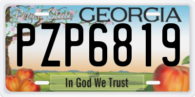 GA license plate PZP6819