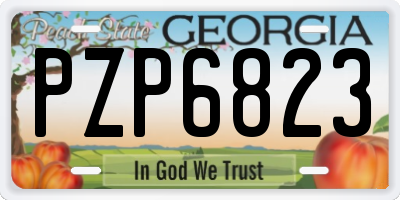 GA license plate PZP6823