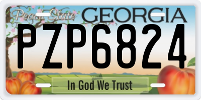 GA license plate PZP6824