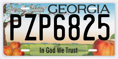 GA license plate PZP6825