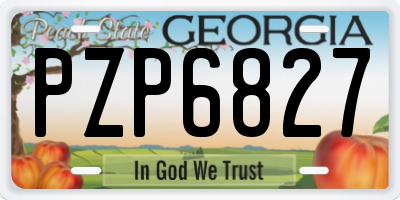 GA license plate PZP6827