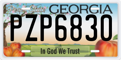 GA license plate PZP6830