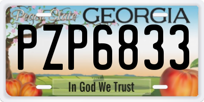 GA license plate PZP6833
