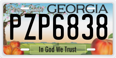 GA license plate PZP6838