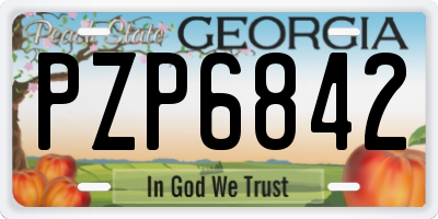 GA license plate PZP6842