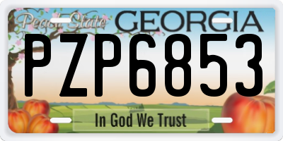 GA license plate PZP6853