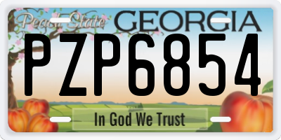GA license plate PZP6854