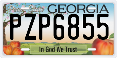 GA license plate PZP6855