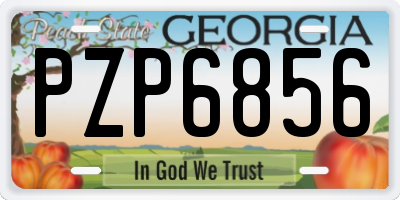 GA license plate PZP6856