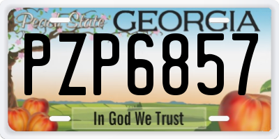 GA license plate PZP6857