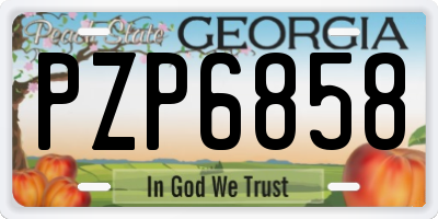 GA license plate PZP6858
