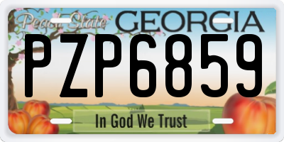 GA license plate PZP6859