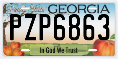 GA license plate PZP6863