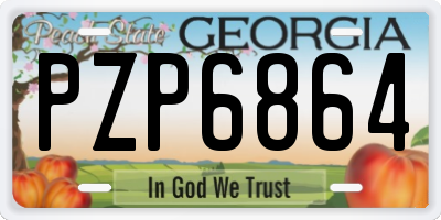 GA license plate PZP6864