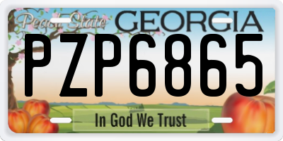 GA license plate PZP6865