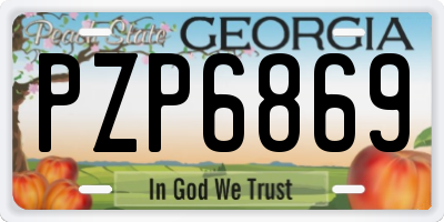 GA license plate PZP6869