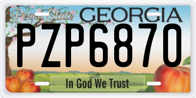 GA license plate PZP6870