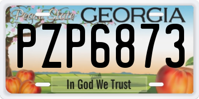 GA license plate PZP6873
