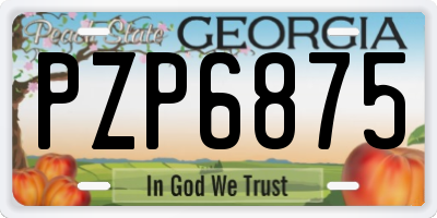GA license plate PZP6875