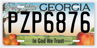 GA license plate PZP6876