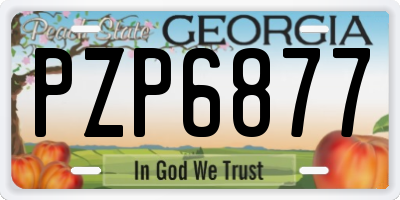 GA license plate PZP6877