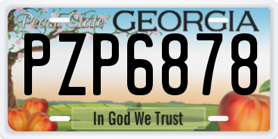 GA license plate PZP6878