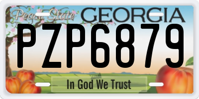 GA license plate PZP6879