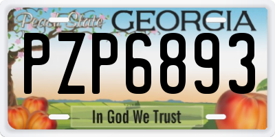 GA license plate PZP6893