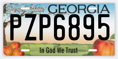 GA license plate PZP6895