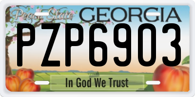GA license plate PZP6903