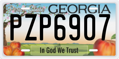 GA license plate PZP6907