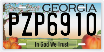 GA license plate PZP6910
