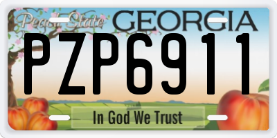 GA license plate PZP6911