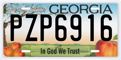GA license plate PZP6916