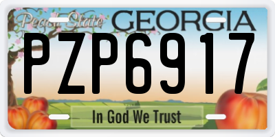 GA license plate PZP6917