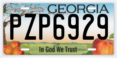 GA license plate PZP6929