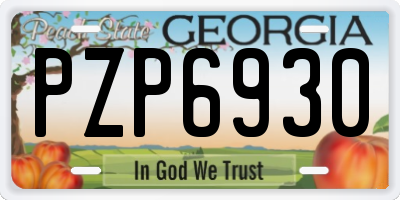 GA license plate PZP6930