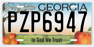 GA license plate PZP6947
