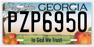 GA license plate PZP6950