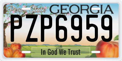 GA license plate PZP6959