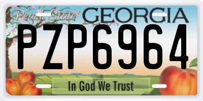 GA license plate PZP6964
