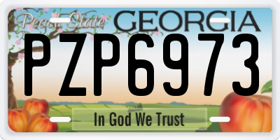 GA license plate PZP6973